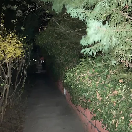 Apartman-donau * Tát