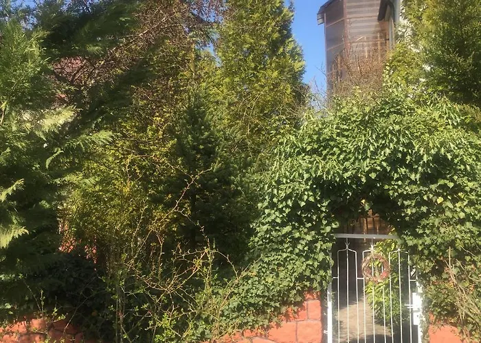 Pensjonat Apartman-donau