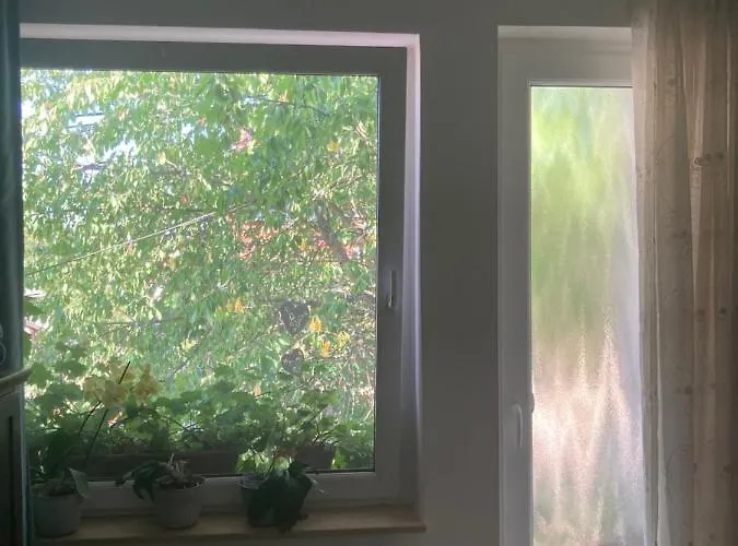 Pensjonat Apartman-donau *